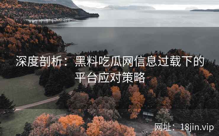 深度剖析：黑料吃瓜网信息过载下的平台应对策略
