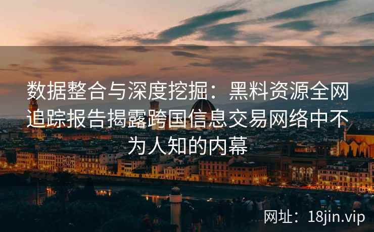 数据整合与深度挖掘：黑料资源全网追踪报告揭露跨国信息交易网络中不为人知的内幕
