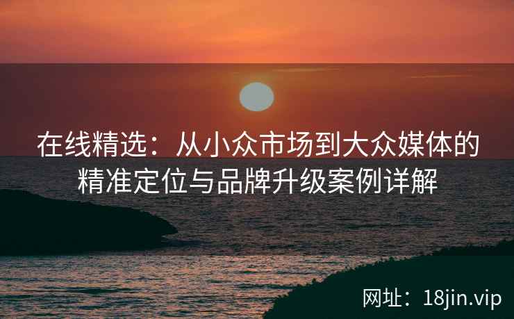 在线精选：从小众市场到大众媒体的精准定位与品牌升级案例详解