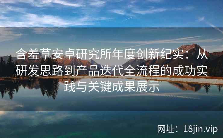 含羞草安卓研究所年度创新纪实：从研发思路到产品迭代全流程的成功实践与关键成果展示