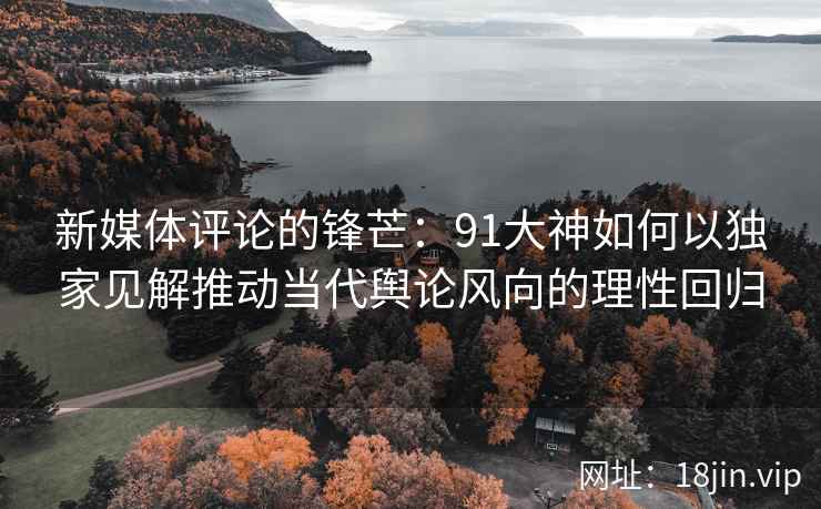新媒体评论的锋芒：91大神如何以独家见解推动当代舆论风向的理性回归