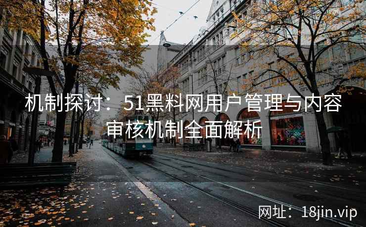 机制探讨：51黑料网用户管理与内容审核机制全面解析