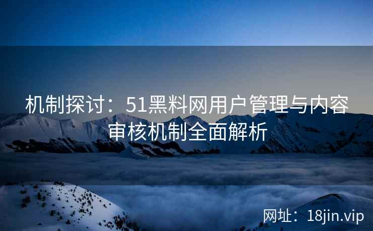 机制探讨：51黑料网用户管理与内容审核机制全面解析