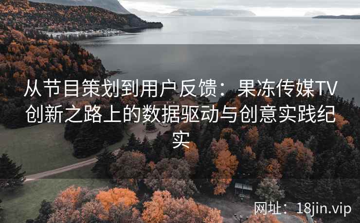 从节目策划到用户反馈：果冻传媒TV创新之路上的数据驱动与创意实践纪实