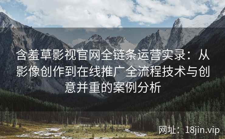 含羞草影视官网全链条运营实录：从影像创作到在线推广全流程技术与创意并重的案例分析