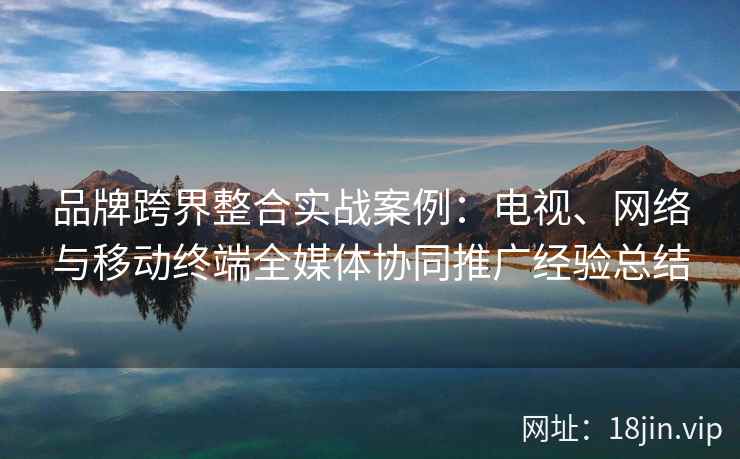 品牌跨界整合实战案例：电视、网络与移动终端全媒体协同推广经验总结